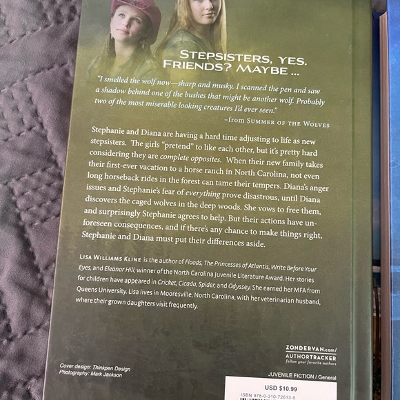 “Sisters in All Seasons” book series (2) - Picture 3 of 8